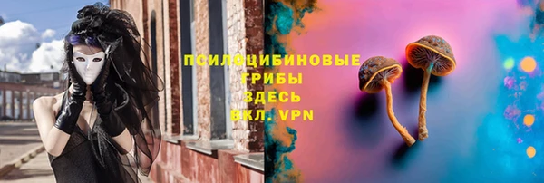 крисы Беломорск
