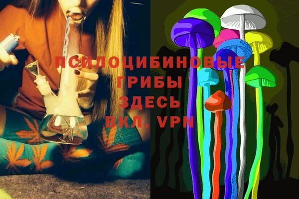 соль курить ск Богданович