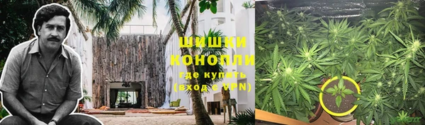крисы Беломорск