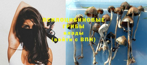 герыч Белокуриха